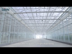 গ্লাস গ্রীনহাউস মেটাল ফ্রেম অংশ