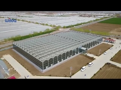 গ্লাস গ্রিনহাউস